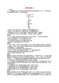 适用于新教材2024版高考生物一轮总复习课时规范练19孟德尔的豌豆杂交实验一新人教版