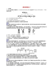 适用于新教材2024版高考生物一轮总复习课时规范练27染色体变异与育种新人教版