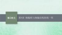 适用于新教材2024版高考生物一轮总复习第2单元细胞的基本结构及物质运输第7讲细胞核与细胞结构的统一性课件新人教版 (1)