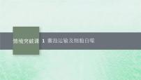 适用于新教材2024版高考生物一轮总复习第2单元细胞的基本结构及物质运输情境突破课1囊泡运输及细胞自噬课件新人教版