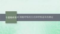 适用于新教材2024版高考生物一轮总复习第3单元细胞的代谢专题精研课2细胞呼吸的方式和呼吸速率的测定课件新人教版