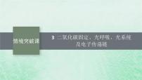 适用于新教材2024版高考生物一轮总复习第3单元细胞的代谢情境突破课3二氧化碳固定光呼吸光系统及电子传递链课件新人教版