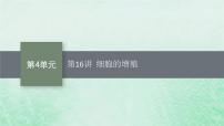 适用于新教材2024版高考生物一轮总复习第4单元细胞的生命历程第16讲细胞的增殖课件新人教版