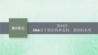 适用于新教材2024版高考生物一轮总复习第6单元遗传的分子基础第23讲DNA分子的结构和复制基因的本质课件新人教版