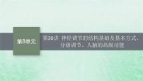 适用于新教材2024版高考生物一轮总复习第8单元稳态与调节第30讲神经调节的结构基础及基本方式分级调节人脑的高级功能课件新人教版