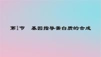 人教版 (2019)必修2《遗传与进化》第4章 基因的表达第1节 基因指导蛋白质的合成说课课件ppt