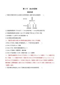 高中生物人教版 (2019)必修2《遗传与进化》第3章 基因的本质第3节 DNA的复制练习题