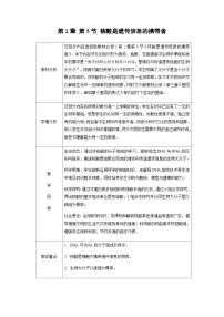 高中生物人教版 (2019)必修1《分子与细胞》第5节 核酸是遗传信息的携带者表格教案