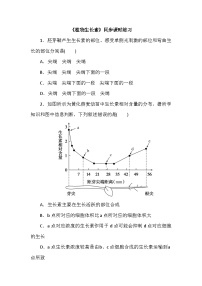 高中生物人教版 (2019)选择性必修1第5章 植物生命活动的调节第1节 植物生长素当堂检测题