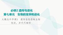 2024届苏教版高考生物一轮复习大概念升华课3遗传信息控制生物性状，并代代相传课件