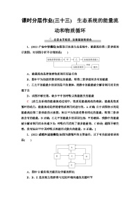 2024届人教版高考生物一轮复习生态系统的能量流动和物质循环作业（单项版）含答案