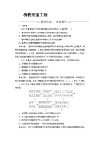 2024届人教版高考生物一轮复习植物细胞工程作业（单项版）含答案