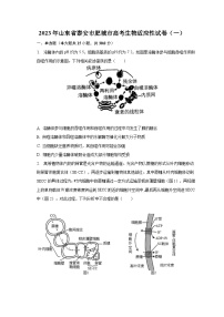 2023年山东省泰安市肥城市高考生物适应性试卷（一）（含解析）