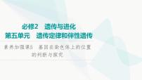 2024届人教版高考生物一轮复习素养加强课5基因在染色体上的位置的判断与探究课件