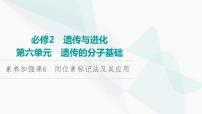 2024届人教版高考生物一轮复习素养加强课6同位素标记法及其应用课件1