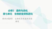 2024届人教版高考生物一轮复习素养加强课7生物变异类型的实验探究课件