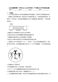 山东省泰安第一中学2022-2023学年高一下学期6月月考生物试卷（含答案）