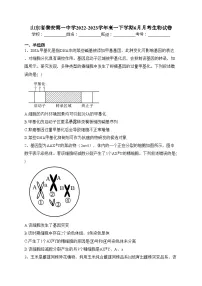 山东省泰安第一中学2022-2023学年高一下学期6月月考生物试卷（含答案）