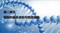 2024届人教版高考生物一轮复习细胞膜与细胞核课件（多项）