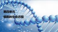 2024届人教版高考生物一轮复习细胞的增殖课件（多项）