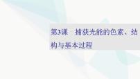 2024届人教版高考生物一轮复习捕获光能的色素、结构与基本过程课件（多项）