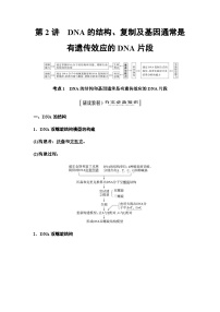 2024届人教版高中生物一轮复习DNA的结构、复制及基因通常是有遗传效应的DNA片段学案