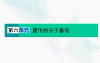 2024届人教版高考生物一轮复习DNA的结构、复制与基因本质课件（单选版）