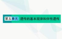 2024届人教版高考生物一轮复习伴性遗传和人类遗传病课件（单选版）