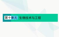 2024届人教版高考生物一轮复习基因工程及生物技术的安全性与伦理问题课件（单选版）