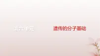 2024届高考生物一轮总复习第六单元遗传的分子基础第17讲DNA的结构复制及基因的本质课件