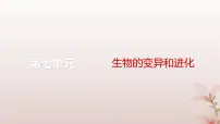 2024届高考生物一轮总复习第七单元生物的变异和进化微专题9基因频率与基因型频率的计算课件