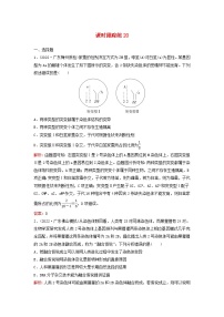 2024届高考生物一轮总复习第七单元生物的变异和进化课时跟踪练20染色体变异