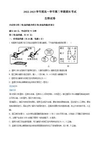 精品解析：黑龙江省佳木斯市富锦市一中2022-2023学年高一下学期期末生物试题（解析版）