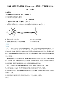 精品解析：云南省玉溪师范学院附中2022-2023学年高二下学期期末生物试题（解析版）