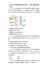 2019-2023年高考生物学分类汇编——专题3细胞的代谢