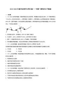 2019-2023年高考生物学分类汇编——专题7遗传的分子基础