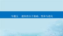 2023高考生物二轮专题复习与测试专题五高考命题热点六课件