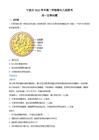 2023宁波九校高一下学期期末联考生物试题含解析