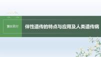 人教版2024届高考生物一轮复习伴性遗传的特点与应用及人类遗传病教学课件