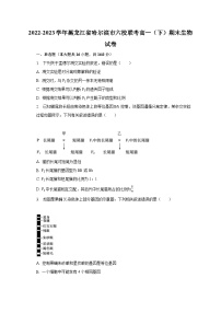 2022-2023学年黑龙江省哈尔滨市六校联考高一（下）期末生物试卷（含解析）