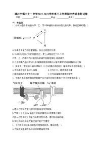 湛江市第二十一中学2022-2023学年高二上学期期中考试生物试卷（含答案）