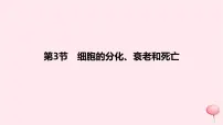 2024版高考生物一轮复习教材基础练第四章细胞的生命历程第3节细胞的分化衰老和死亡教学课件