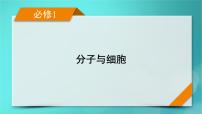 新高考适用2024版高考生物一轮总复习必修1分子与细胞第2单元细胞的基本结构与物质输入和输出第2讲细胞器和生物膜系统课件