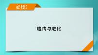 新高考适用2024版高考生物一轮总复习必修2遗传与进化第5单元孟德尔定律和伴性遗传第2讲基因的自由组合定律课件