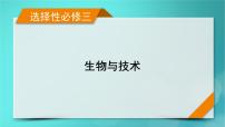 新高考适用2024版高考生物一轮总复习选择性必修3生物与技术第10单元生物技术与工程微专题DNA的粗提取与鉴定DNA片段的扩增及电泳鉴定课件