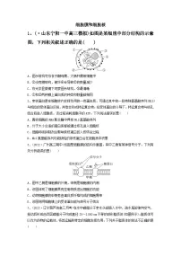 专题04 细胞膜和细胞核(精练)-备战2024高考生物一轮复习串讲精练(新高考专用)