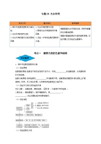 专题09 光合作用（串讲）-备战2024高考生物一轮复习串讲精练（新高考专用）