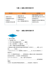 专题12 减数分裂和受精作用（串讲）-备战2024高考生物一轮复习串讲精练（新高考专用）