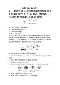 专题13 细胞的分化、衰老和死亡（精练）-备战2024高考生物一轮复习串讲精练（新高考专用）