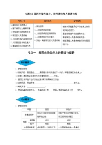 专题16 基因在染色体上、伴性遗传和人类遗传病（串讲）-备战2024高考生物一轮复习串讲精练（新高考专用）